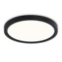 FZ1904 BK черный IP54 20W 3000K-6500K CCT-переключатель D300*25 (Без ПДУ)