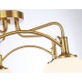 Потолочная люстра TR3212/5 GD/FR Ambrella light