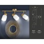 Настенно-потолочный спот TR3972/3 BS/FR латунь/белый матовый