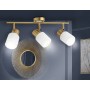 Настенно-потолочный спот TR3972/3 BS/FR латунь/белый матовый