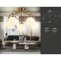 Потолочная люстра TR3212/5 GD/FR Ambrella light