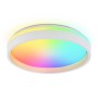 FZ601 WH/GD белый/золото IP20 46W 3000K-6500K+RGB D390*80 (ПДУ ИК)