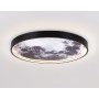 FW11112 BK черный 25W LED 3000-6400K D400*38