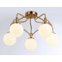 Потолочная люстра TR3212/5 GD/FR Ambrella light