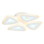 Потолочный светильник с пультом FA4019/4 WH ACRYLICA Original 82W