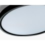 FZ3050 BK черный IP44 24W+10W 6400+6400К D290*40 (Без ПДУ)