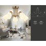 Потолочная люстра TR3218/5 GD/FR Ambrella light