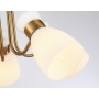 Потолочная люстра TR3218/5 GD/FR Ambrella light