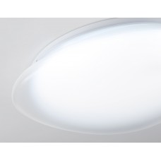 FZ1601 FR матовый IP20 40W 5000K 410*100 (Без ПДУ)
