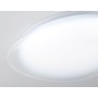 FZ1601 FR матовый IP20 40W 5000K 410*100 (Без ПДУ)