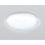 FZ1601 FR матовый IP20 40W 5000K 410*100 (Без ПДУ)