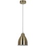 Подвесной светильник Arte Lamp A2054SP-1AB