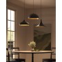 Подвесной светильник Arte Lamp CARMEL A7080SP-1BK