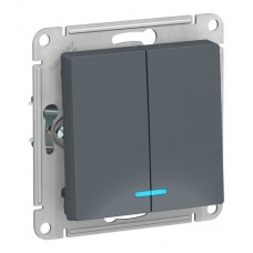 Выключатель 2-клавишный с подсветкой Schneider Electric