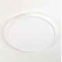 Citilux Бейсик CL738320V Светильник накладной Белый