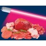Лампа для витрин с мясной продукцией LED-T8-20W-SM-G13-CL