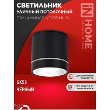 Светильник уличный потолочный ПБУ ЦИЛИНДР-1xGX53-NL-BL IN HOME