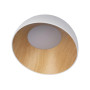 10197/500 White Потолочный светильник LOFT IT Egg