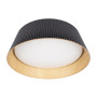 10224 Black Потолочный светильник LOFT IT Evans
