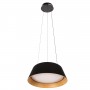 10224P Black Подвесной светильник LOFT IT Evans