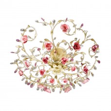 Потолочная люстра Odeon Light Oxonia 2585/5