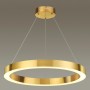 Подвесной светодиодный светильник Odeon Light Brizzi 3885/35LG