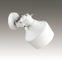Настенный светильник 4084/1W белый/золотой OSTA ODEON LIGHT