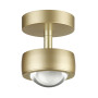 Потолочный светильник 4347/7CL золото OTTICO ODEON LIGHT