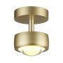 Потолочный светильник 4347/7CL золото OTTICO ODEON LIGHT