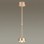 Светильник потолочный 3874/10CL матовый золотой OTTICO ODEON LIGHT