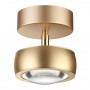 Светильник потолочный 3874/10CL матовый золотой OTTICO ODEON LIGHT