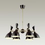 Подвесная люстра Odeon Light Rasto 4665/6