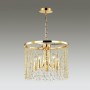 Подвесная люстра Odeon Light Raini 4844/5