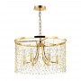 Подвесная люстра Odeon Light Raini 4844/6