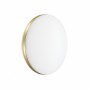 7626/CL PALE SN 037 Светильник пластик/белый/золотистый LED 30Вт без ДУ 4000К D340 IP43 RINGO