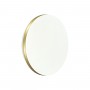7626/CL PALE SN 037 Светильник пластик/белый/золотистый LED 30Вт без ДУ 4000К D340 IP43 RINGO