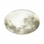 3084/CL PALE SN 014 Светильник пластик/белый/серый LED 30Вт без ДУ 4000К D330 IP43 MON
