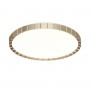 7648/DL PALE SN Светильник пластик/белый/золотой LED 48Вт 4000К D385 IP43 ATABI GOLD