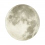 3084/DL PALE SN 014 Светильник пластик/белый/серый LED 48Вт без ДУ 4000К D380 IP43 MON