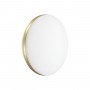 7626/EL PALE SN 037 Светильник пластик/белый/золотистый LED 72Вт с ДУ 3000-6000К D500 IP43 пульт ДУ RINGO
