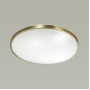 2089/DL PALE SN 079 Светильник пластик/белый/бронза LED 48Вт 3000-6000K D440 IP43 пульт ДУ LOTA BRONZE