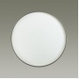 2076/DL PALE SN 077 Светильник пластик/белый/серебристый LED 48Вт 3000-6000K D390 IP43 пульт ДУ GETA SILVER