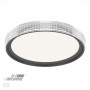 3049/EL PALE SN 035 Светильник пластик/белый/черный LED 72Вт 3000-6000К D490 IP43 пульт ДУ SHINY