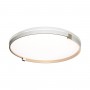 7646/EL PALE SN Светильник пластик/золотой LED 70Вт 3000-6000К D490 IP43 пульт ДУ OLIDI WHITE