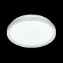 3028/DL COLOR SN 019 Светильник пластик/белый LED 48Вт 3000-6500K D390 IP43 пульт ДУ/RGB/LampSmart SLOT