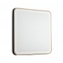 7621/DL PALE SN 047 Светильник пластик/белый/черный/медный LED 48Вт c ДУ 3000-4200-6300К 440х440 IP43 пульт ДУ EFFA