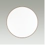 2078/DL PALE SN 073 Светильник пластик/белый/янтарный LED 48Вт 3000-6000K D390 IP43 пульт ДУ DINA AMBER