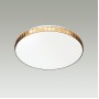 2078/DL PALE SN 073 Светильник пластик/белый/янтарный LED 48Вт 3000-6000K D390 IP43 пульт ДУ DINA AMBER