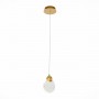 Подвесной светодиодный светильник ST Luce Montecelio SL6104.203.01