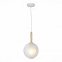 Подвесной светильник Foligno SL1183.503.01